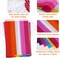 2 Set Progress Pride Rainbow Flag Banner String Bunting LGBTQ Flag (33 Feet 30 Flags)